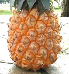 como hacer para reforzar las uñas de las manos con anana