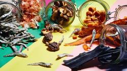 Descubriendo sabores: cómo funciona el sabor umami