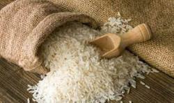 Falsos mitos sobre el arroz