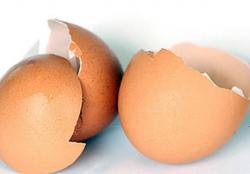 La cáscara del huevo y sus muchos usos en la medicina natural