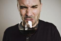 ¿Por qué el vino se convierte en vinagre?