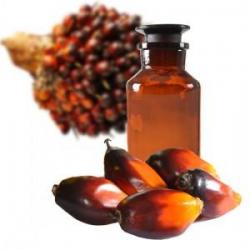 Por qué hay que evitar el aceite de palma