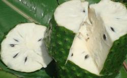Propiedades nutritivas de la guanábana