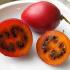 Tamarillo