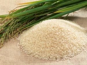 Arroz