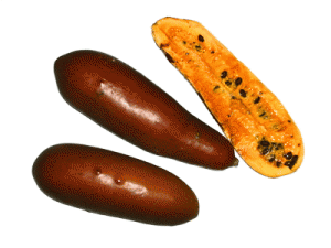 Cassabanana