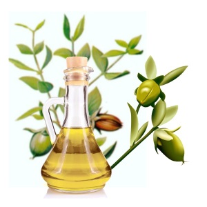 Jojoba