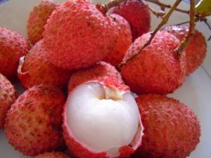 Litchi