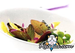 Ensalada fresca de rabanitos