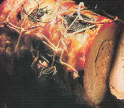 Matambrito perfumado