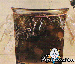 Mermelada de ciruelas