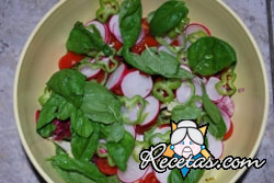 Ensalada de brotes y rabanitos