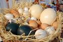 Huevos a la italiana