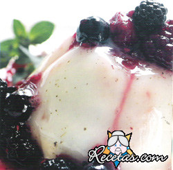 Panna cotta a la menta con frutos rojos