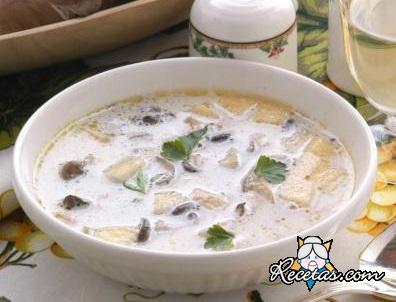 Setas con crema agria